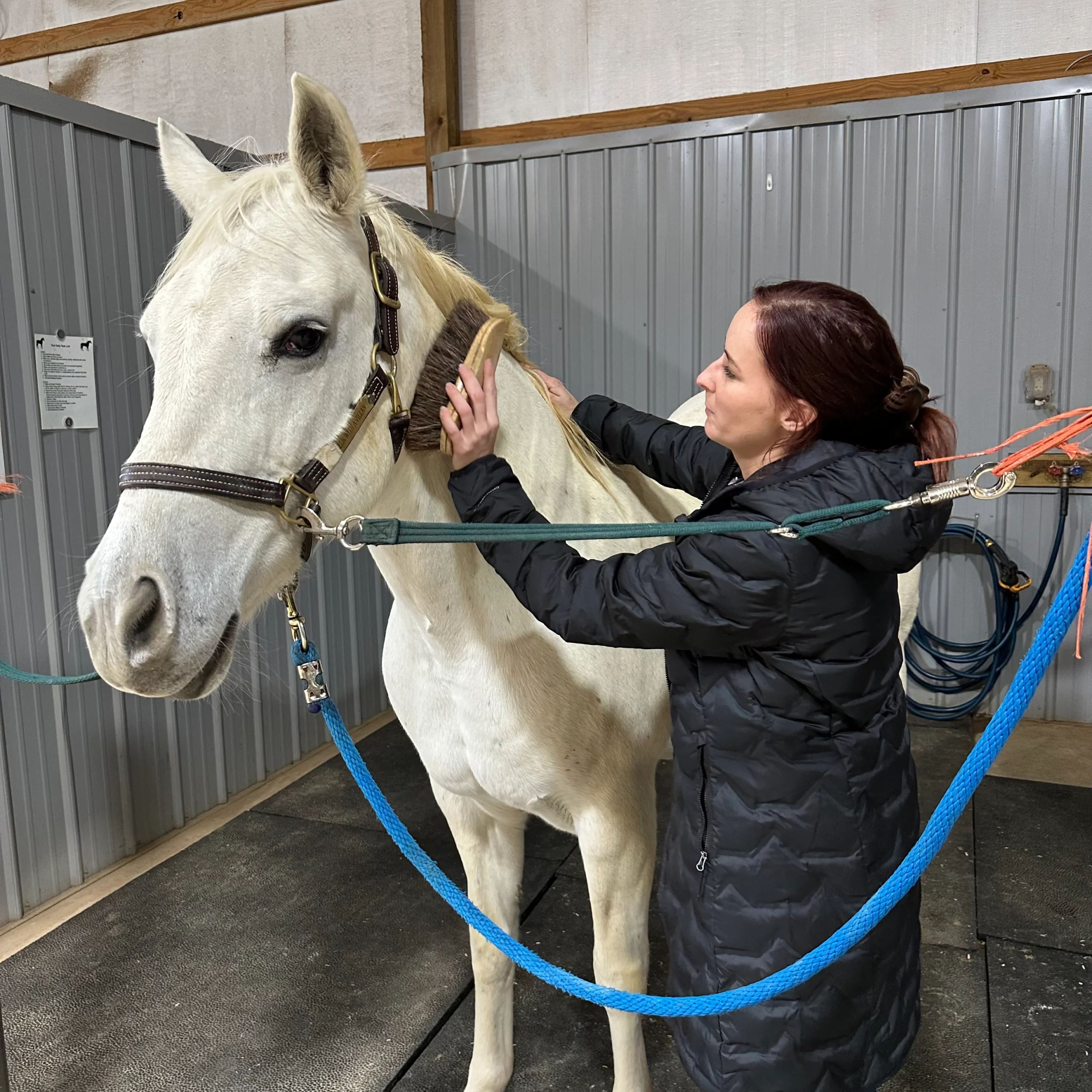 Full Circle Equine employee grooming a horse.
